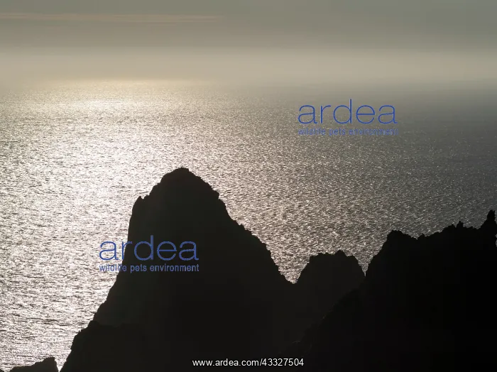 : The cliffs between Dale and Huxter close : The cliffs between Dale and Huxter close