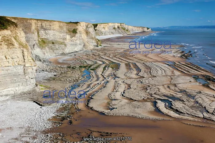  : Cliffs, Dunraven Bay, Glamorgan Heritage Coast