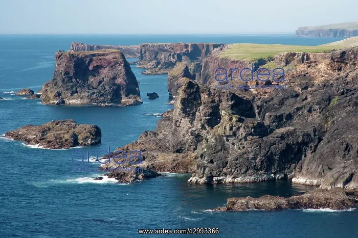 : Cliffs at Eshaness : Cliffs at Eshaness