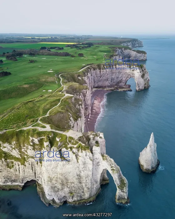 : Cliffs of Etretat, aerial view, Normandy, France : Cliffs of Etretat, aerial view, Normandy, France