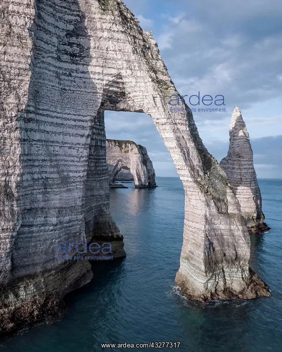 : Cliffs of Etretat, aerial view, Normandy, France : Cliffs of Etretat, aerial view, Normandy, France