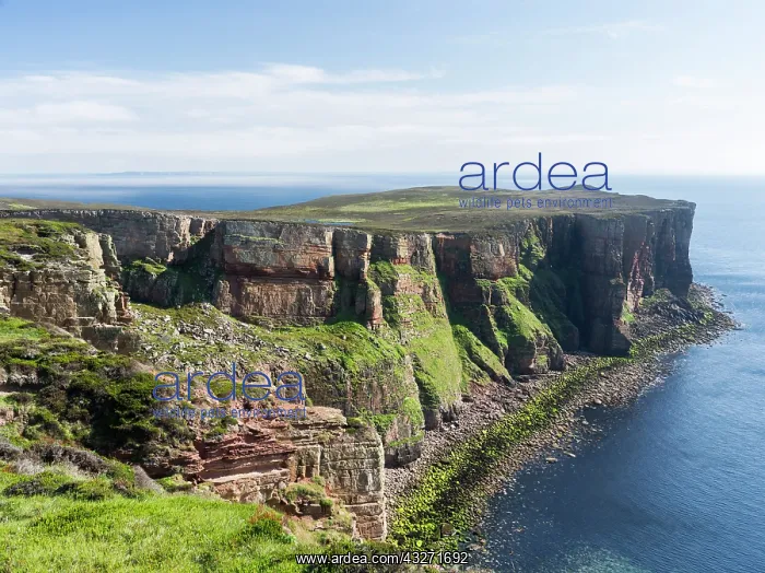  : The cliffs of Hoy island near the Old Man