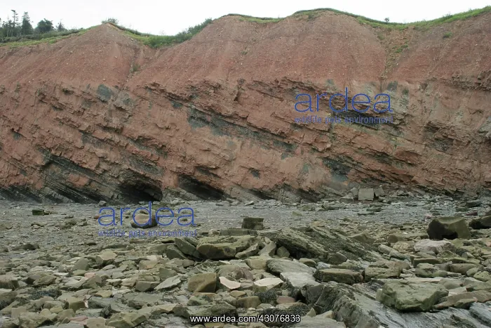 : Cliffs at Joggins Nova Scotia : Cliffs at Joggins Nova Scotia