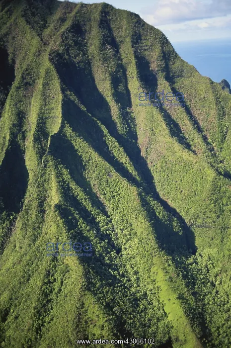 : Cliffs, Kauai, Hawaii : Cliffs, Kauai, Hawaii