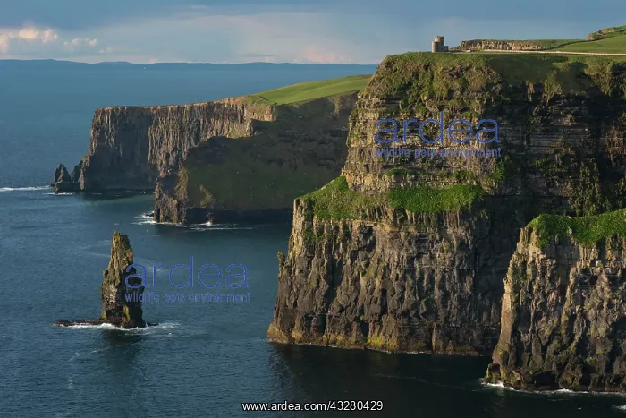 : Cliffs of Moher, Cliffs, Clare, Ireland, Europe : Cliffs of Moher, Cliffs, Clare, Ireland, Europe