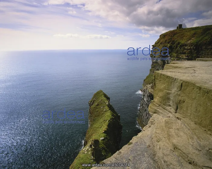 : Cliffs of Moher, Ireland : Cliffs of Moher, Ireland