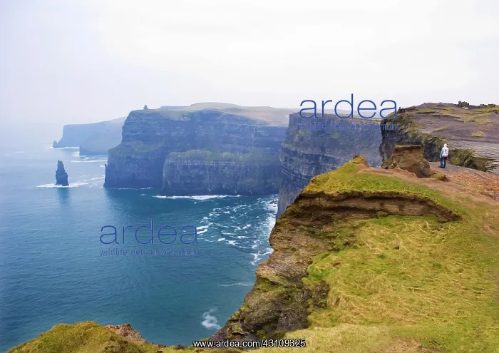 : Cliffs of Moher, South West Coast, County Clare : Cliffs of Moher, South West Coast, County Clare
