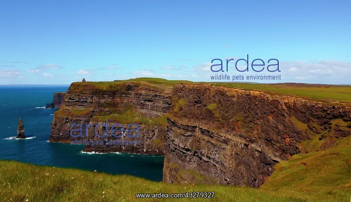  : Cliffs of Moher, viewpoint O'Brien, Ireland, Europe