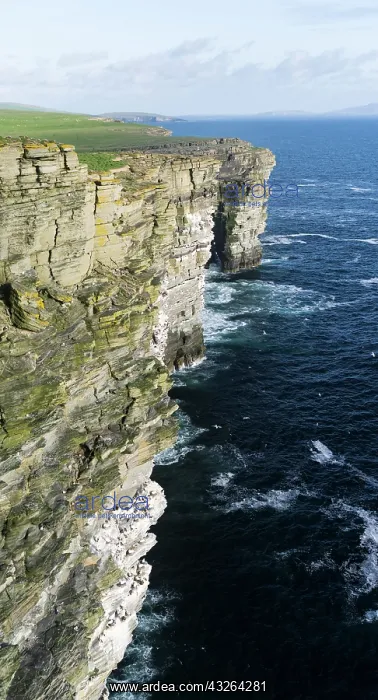 : The cliffs at Noup Head on Westray island : The cliffs at Noup Head on Westray island