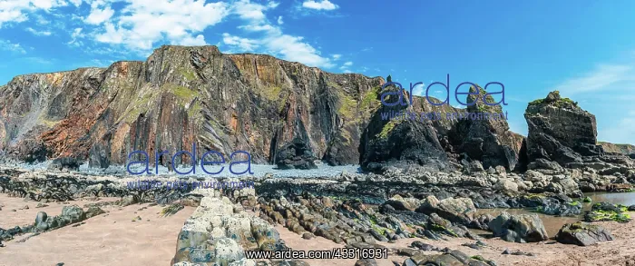 : Cliffs on the Sandymouth Bay Beach, National Trust : Cliffs on the Sandymouth Bay Beach, National Trust