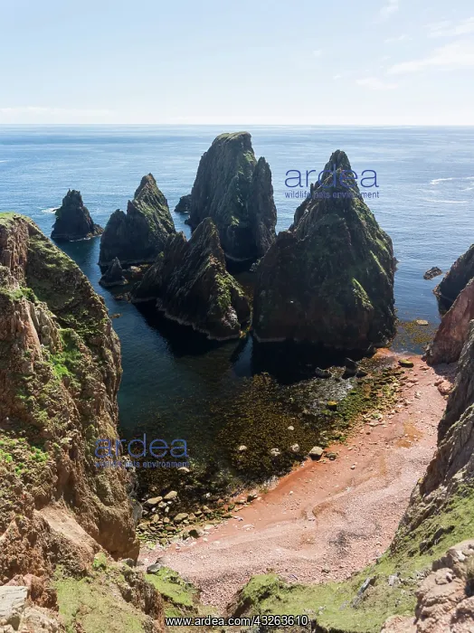 : The cliffs between Silwick and Westerwick : The cliffs between Silwick and Westerwick