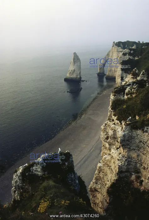 : Cliffs at ?? @ tretat, Normandy : Cliffs at ?? @ tretat, Normandy