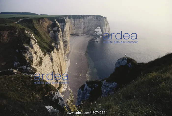 : Cliffs at ?? @ tretat, Normandy : Cliffs at ?? @ tretat, Normandy