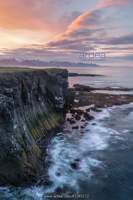  : Cliffs of West Iceland, Vesturland, Iceland, Europe