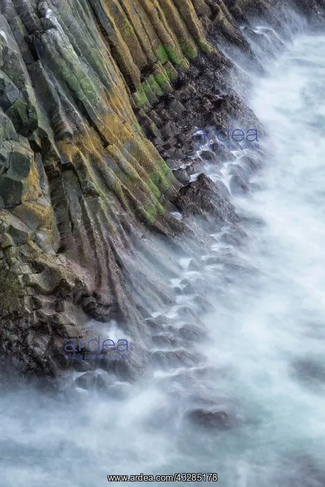  : Cliffs of West Iceland, Vesturland, Iceland, Europe
