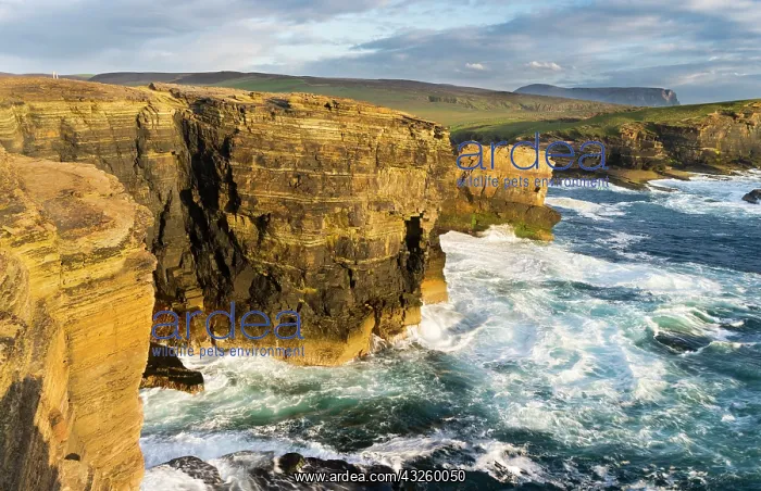  : The Cliffs of Yesnaby in Orkney, during
