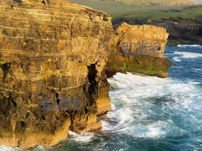 : The Cliffs of Yesnaby in Orkney, during : The Cliffs of Yesnaby in Orkney, during