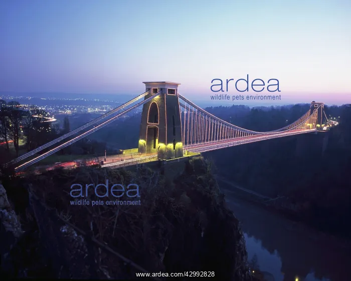 : Clifton Suspension Bridge : Clifton Suspension Bridge