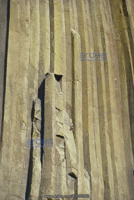 : Climber on Devils Tower : Climber on Devils Tower