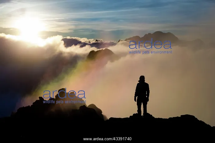 : Climber at the summit, sunrise above clouds, Tatra : Climber at the summit, sunrise above clouds, Tatra