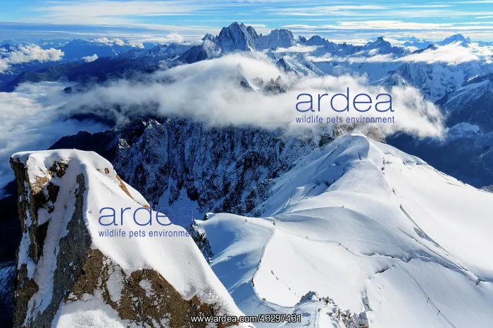 : Climbers on snowy ridge of Mont Blanc, Chamonix : Climbers on snowy ridge of Mont Blanc, Chamonix