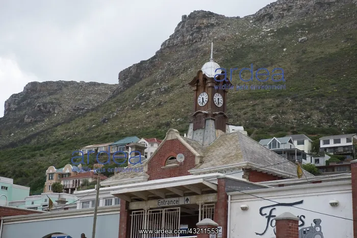 : Clock tower in seaside resort of Muizenberg : Clock tower in seaside resort of Muizenberg