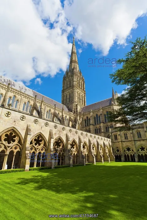 : Cloister of the Cathedral, Cathedral Close, Salisbury : Cloister of the Cathedral, Cathedral Close, Salisbury