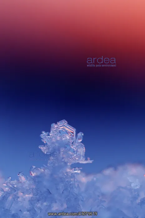 : Close up of ice crystals : Close up of ice crystals