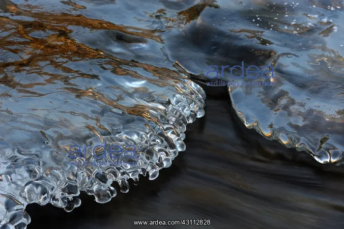 : Close up of an Ice formation formed in a small stream with r : Close up of an Ice formation formed in a small stream with r