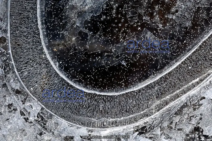 : Close up of Ice patterns : Close up of Ice patterns