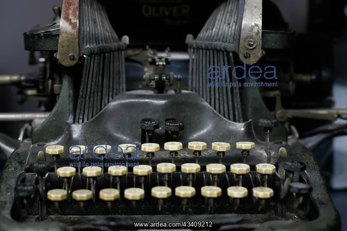 : Close-up of antique typewriter : Close-up of antique typewriter