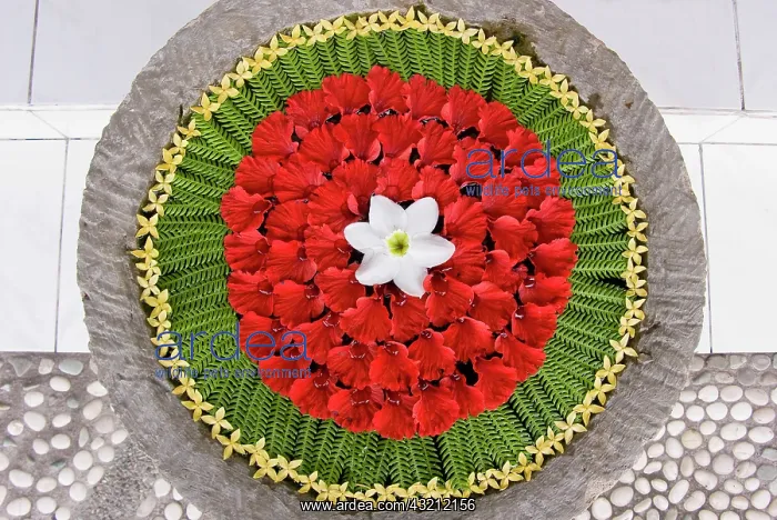  : Close-up of Balinese floral offering to