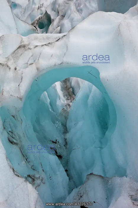 : Close-up of blue glacial ice mass, Franz : Close-up of blue glacial ice mass, Franz