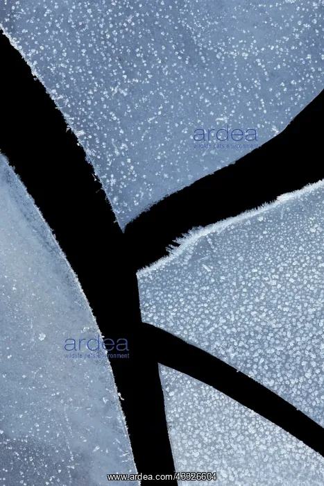: Close-up of broken ice, The Netherlands : Close-up of broken ice, The Netherlands