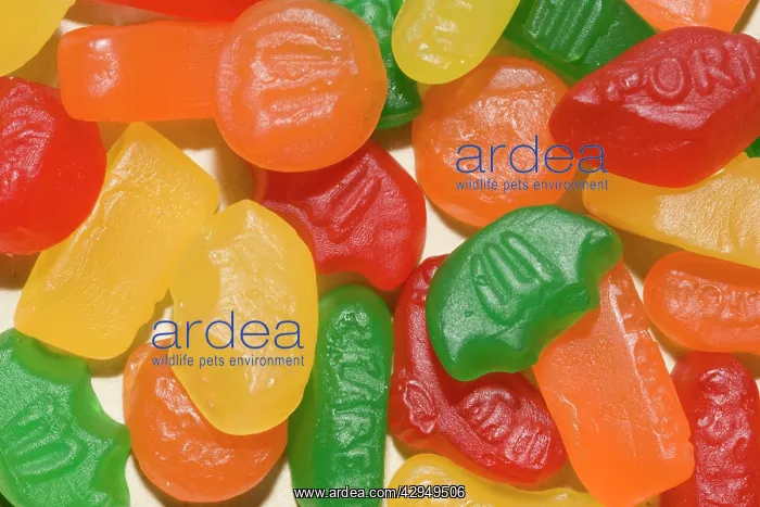 : Close-up of colourful wine gum sweets