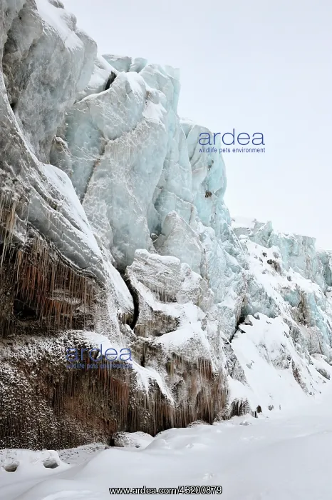  : Close-up frontview of Glacier at Spitsbergen