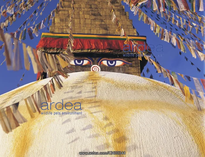 : Close-up of the Great Stupa in the Tibetan quarter : Close-up of the Great Stupa in the Tibetan quarter