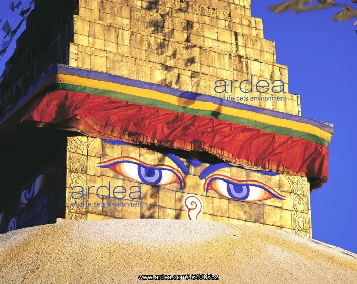 : Close-up of the Great Stupa in the Tibetan quarter : Close-up of the Great Stupa in the Tibetan quarter
