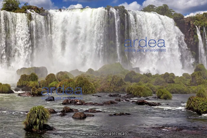 : Close-up of a powerful waterfall with lush vegetation and spray : Close-up of a powerful waterfall with lush vegetation and spray