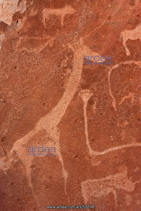 : Close-up of rock engravings or petroglyphs : Close-up of rock engravings or petroglyphs