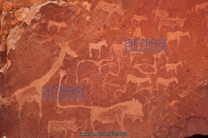 : Close-up of rock engravings or petroglyphs : Close-up of rock engravings or petroglyphs