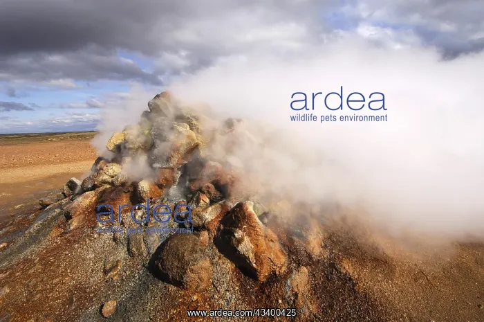 : Close-up of steaming geothermal vent or fumarole : Close-up of steaming geothermal vent or fumarole