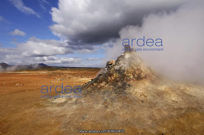 : Close-up of steaming vent or fumarole in a geothermal : Close-up of steaming vent or fumarole in a geothermal