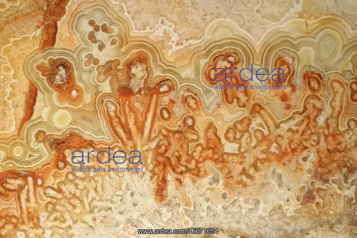  : Agate. A close-up view of agate. Agate is a form of the mineral quartz (silicon oxide)