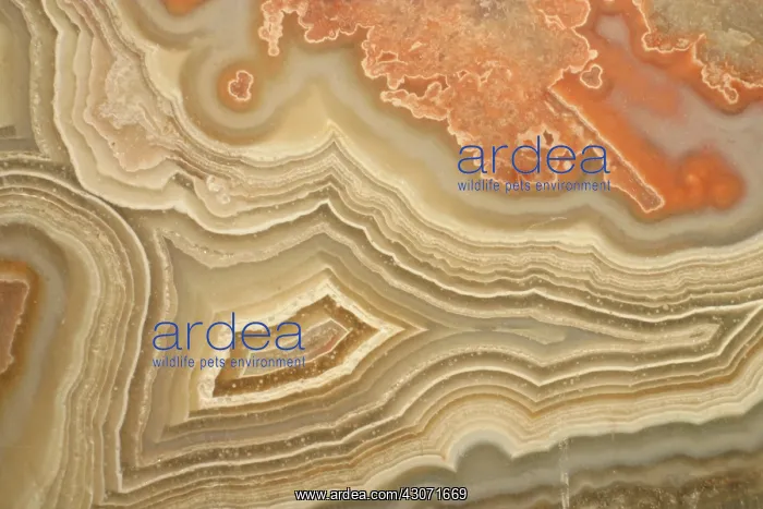  : Agate. A close-up view of agate. Agate is a form of the mineral quartz (silicon oxide)