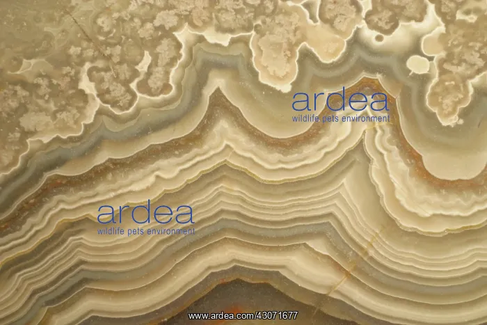  : Agate. A close-up view of agate. Agate is a form of the mineral quartz (silicon oxide)