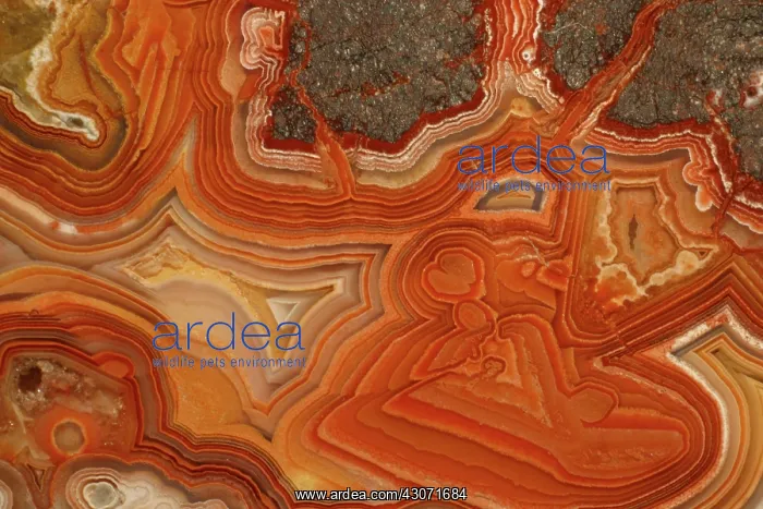  : Agate. A close-up view of agate. Agate is a form of the mineral quartz (silicon oxide)