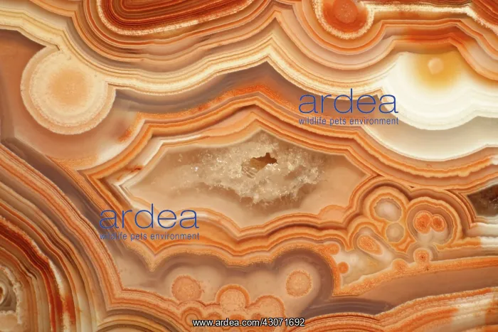  : Agate. A close-up view of agate. Agate is a form of the mineral quartz (silicon oxide)