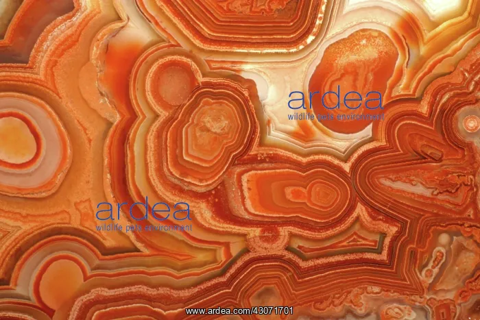  : Agate. A close-up view of agate. Agate is a form of the mineral quartz (silicon oxide)