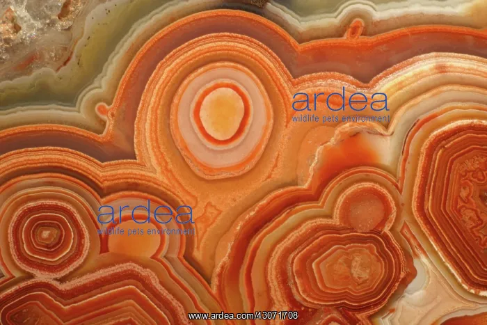  : Agate. A close-up view of agate. Agate is a form of the mineral quartz (silicon oxide)